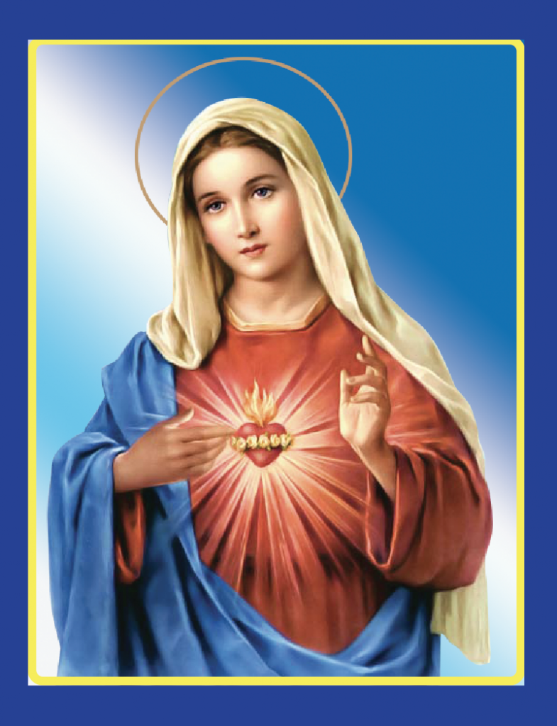 know-love-and-trust-mary-through-the-saints-fr-ed-broom-omv